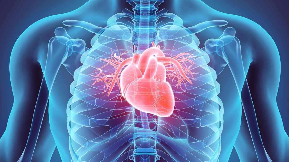 Scompenso Cardiaco: cos'è e come affrontarlo